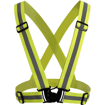 Harness